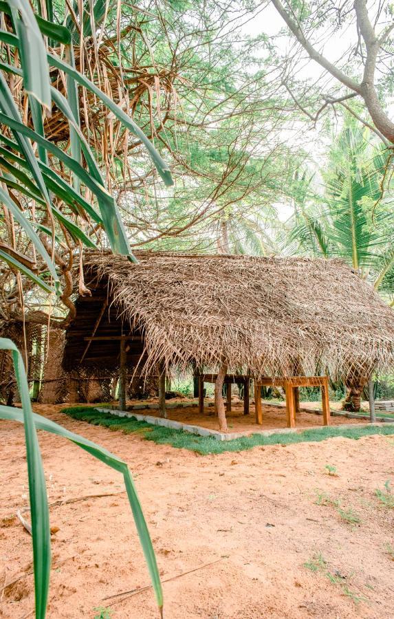 Sarada Beach Resort Yala Tissamaharama Kültér fotó