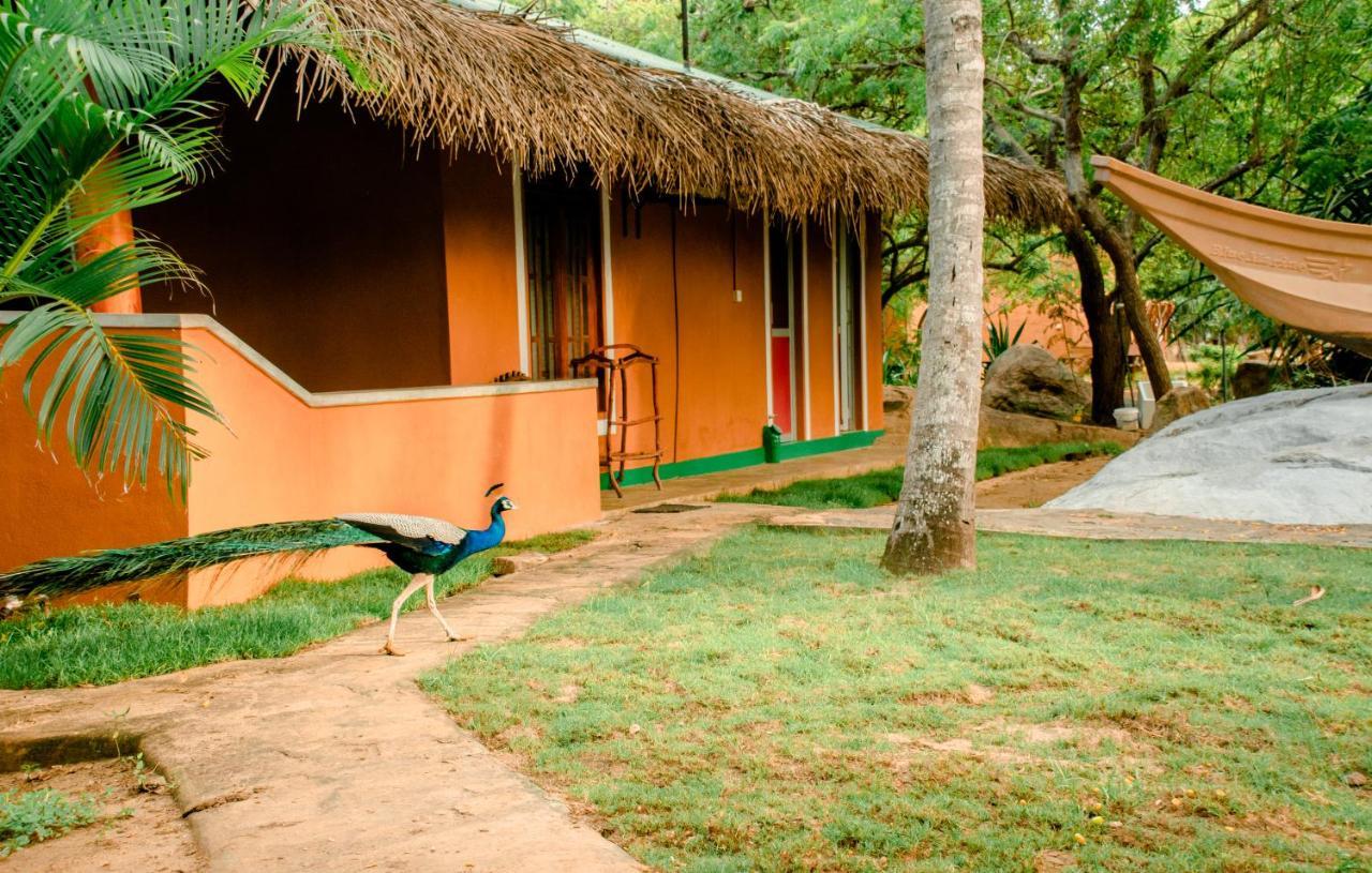 Sarada Beach Resort Yala Tissamaharama Kültér fotó