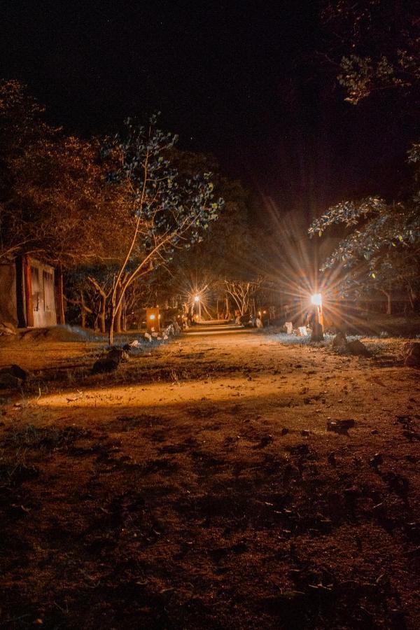 Sarada Beach Resort Yala Tissamaharama Kültér fotó